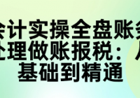 会计实操全盘账务处理做账报税：从基础到精通