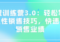 销冠训练营3.0：轻松掌握顺人性销售技巧，快速提升销售...