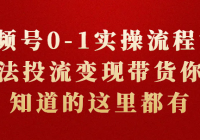 视频号0-1实操流程课 算法投流变现带货你想知道的这里都有
