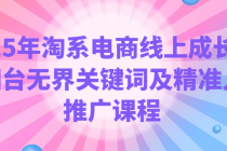2025年淘系电商线上成长营 万相台无界关键词及精准人群推广课程