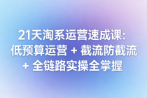 21 天淘系运营速成课：低预算运营 + 截流防截流 + 全链路实操全掌握