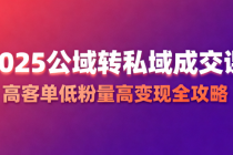 2025 公域转私域成交课：高客单低粉量高变现全攻略