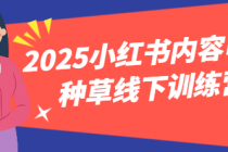2025小红书内容电商种草线下训练营