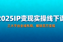 2025IP 变现实操线下课：三大平台全域布局，解锁百万变现