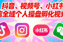 抖音视频号小红书微信全域个人操盘孵化视频课
