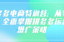 拼多多电商特训营：从零开始，全面掌握拼多多运营与推...