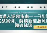 普通人逆袭指南——34节实战案例，解锁新能源风口赚钱秘诀