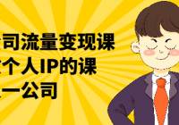 一人公司流量变现课 教你做个人IP的课，一个人一公司