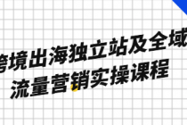 跨境出海独立站及全域流量营销实操课程