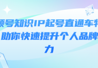 视频号知识IP起号直通车特训营：助你快速提升个人品牌影...