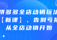 拼多多全店动销玩法【新课】，告别亏损从全店动销开始