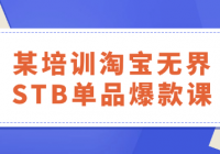 某培训淘宝无界STB单品爆款课