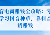 抖音电商赚钱全攻略：零基础学习抖音种草，靠抖音卖货...