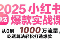 2025小红书爆款实战课：从 0 到 1000 万流量，吃透算法轻松打造爆款