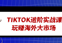 TIKTOK进阶实战课 玩赚海外大市场
