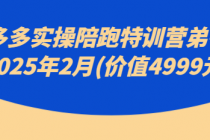 拼多多实操陪跑特训营弟子班2025年2月(价值4999元)