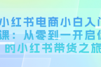 小红书电商小白入门课：从零到一开启你的小红书带货之旅