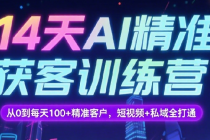 14天AI精准获客训练营：从0到每天100+精准客户，短视频+私域全打通