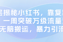 深层揭秘小红书，靠复制粘贴，一周突破万级流量池，无...