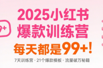 2025小红书爆款训练营 每天都是99+