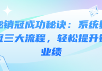 揭秘销冠成功秘诀：系统复制销冠三大流程，轻松提升销...