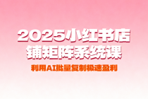 2025小红书店铺矩阵系统课：利用AI批量复制极速盈利