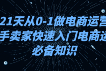 21天从0-1做电商运营，新手卖家快速入门电商运营必备知识