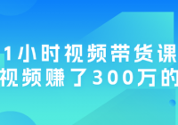1小时视频带货课：一条视频赚了300万的秘密