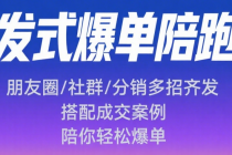 批发式爆单陪跑营：朋友圈 / 社群 / 分销多招齐发，搭配成交案例，陪你轻松爆单