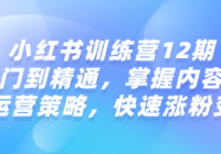 小红书训练营12期：从入门到精通，掌握内容创作与运营策...