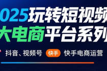 2025玩转短视频三大电商平台系列课：抖音、视频号、快手电商运营