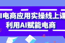 AI电商应用实操线上课 利用AI赋能电商