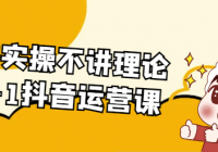 只讲实操不讲理论从0-1抖音运营课