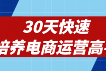 30天快速培养电商运营高手