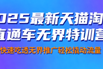 2025最新天猫淘宝直通车无界特训营 快速吃透无界推广轻松撬动流量