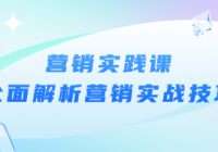 营销实践课：全面解析营销实战技巧