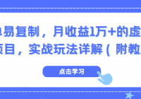 简单易复制，月收益1万+的虚拟产品项目，实战玩法详解（...