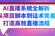 AI直播系统全解析：从项目脚本到话术完善，打造高效直播流程