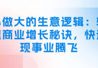 从小做大的生意逻辑：轻松掌握商业增长秘诀，快速实现...