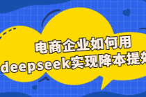 人工智能课：电商企业如何用deepseek实现降本提效？