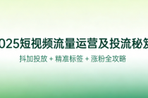 2025 短视频流量运营及投流秘笈：抖加投放 + 精准标签 + 涨粉全攻略