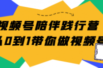 视频号陪伴践行营 从0到1带你做视频号