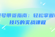 视频号带货指南：轻松掌握带货技巧的实战课程