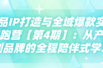 货品IP打造与全域爆款实战陪跑营【第4期】：从产品到品...