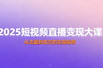 2025短视频直播变现大课 从流量到成交的实操指南