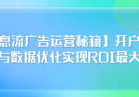 【信息流广告运营秘籍】开户、投放与数据优化实现ROI最...