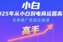 2025年从小白到电商运营高手：无界推广系统实操课