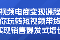 短视频电商变现课程：带你玩转短视频带货，实现销售爆...