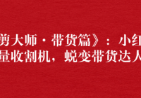 《混剪大师·带货篇》：小红书流量收割机，蜕变带货达人