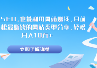不靠SEO，也能利用网站赚钱，目前最轻松最赚钱的网站类...